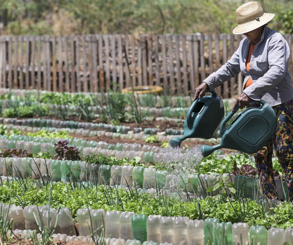 O baixo acesso à assistência técnica e a vulnerabilidade da agricultura familiar à crise climática