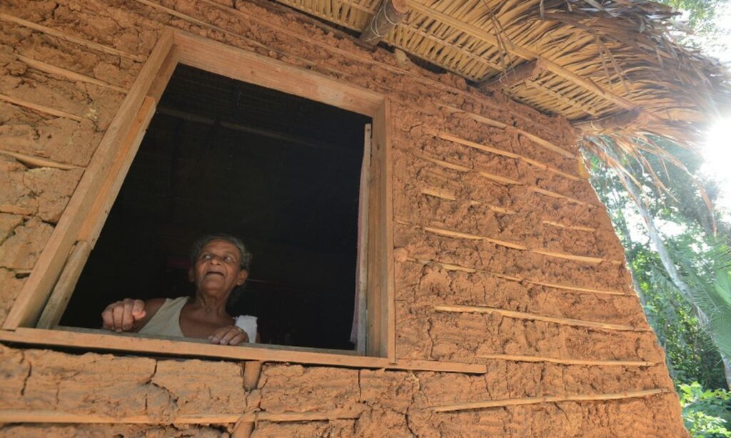 Terras de afrodescendentes e quilombolas têm até 55% menos desmatamento, diz estudo