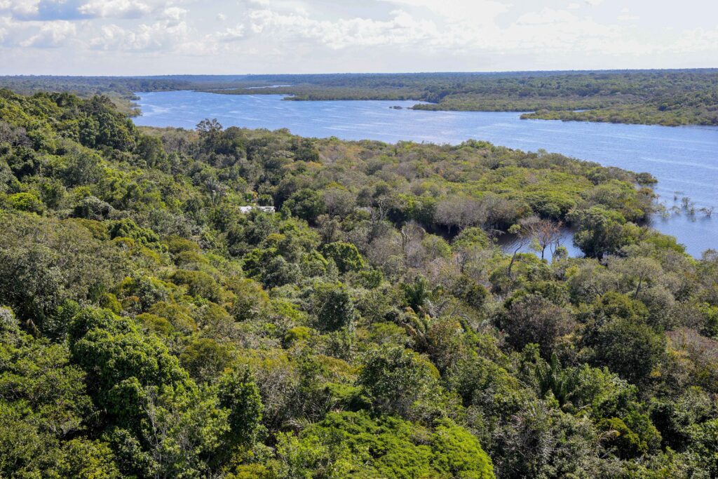 Lula vai a Bogotá anunciar apoio de países amazônicos a Fundo de Florestas