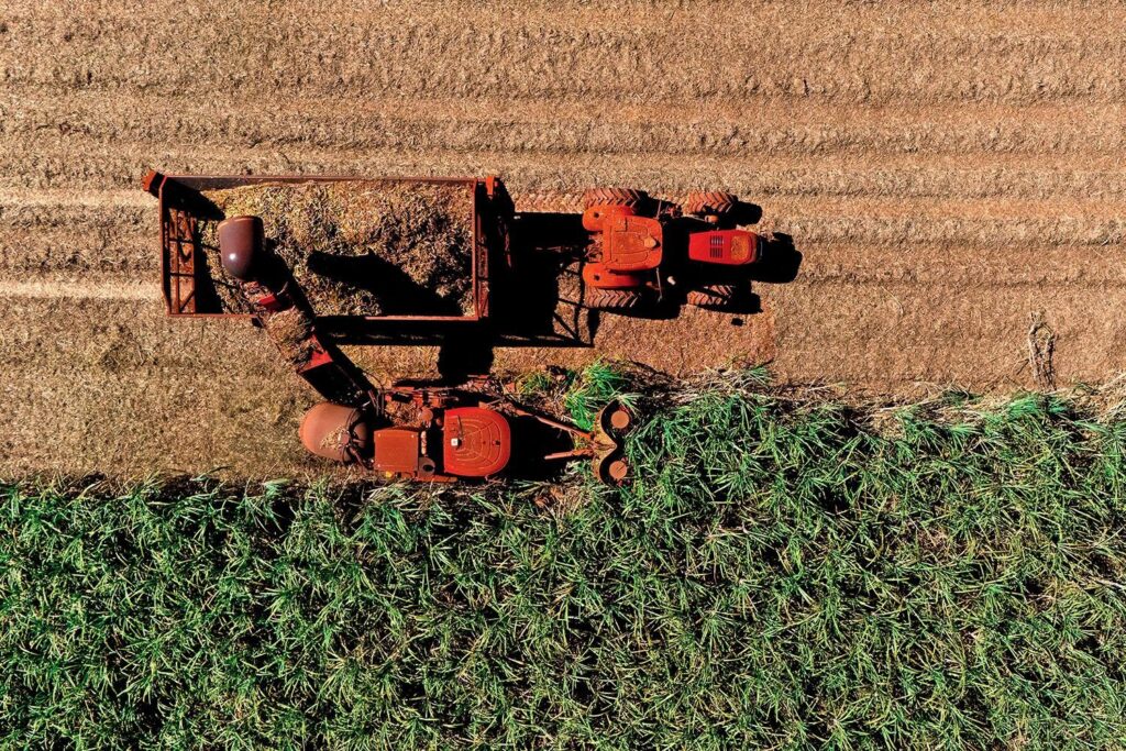 Agronegócio em velocidade: líderes do setor investem em inovação para crescer