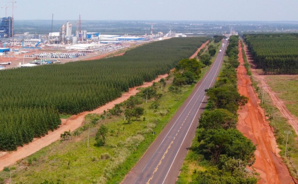 Consórcio da K-Infra e Galápagos é inabilitado em leilão da Rota da Celulose